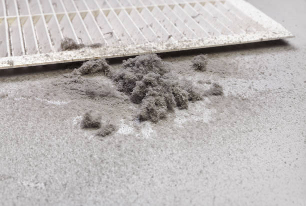 Best Affordable Duct Cleaning Services  in Aiea, HI