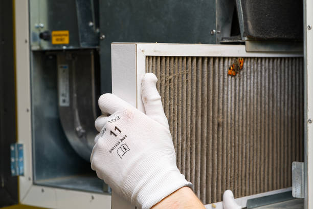 Best Air Quality Test  in Aiea, HI