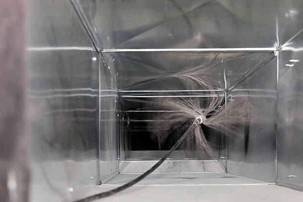 Best Air Duct Sanitizing Services  in Aiea, HI