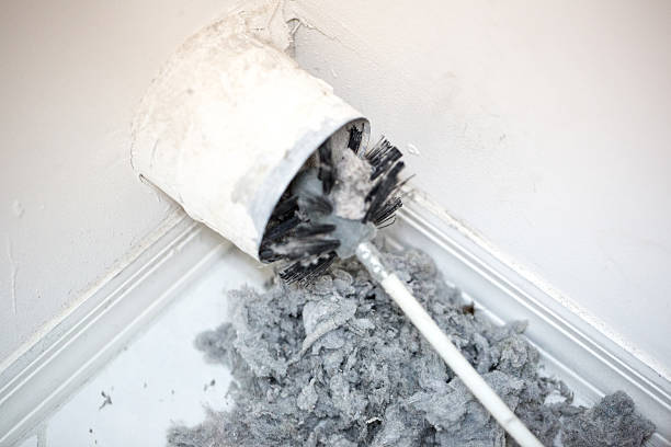 Best Residential Air Duct Cleaning  in Aiea, HI